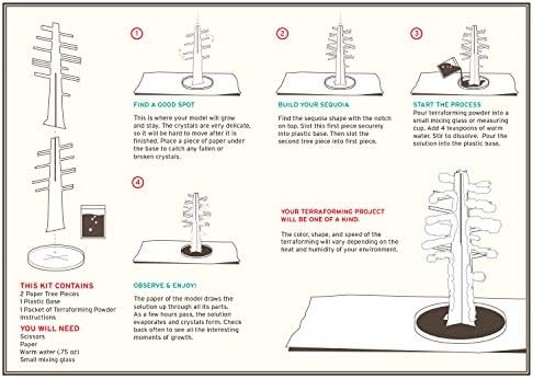 Crystal Growing Giant Sequoia | Copernicus Toys Official Terraformer kit | Grows in Hours | Facts and Instructions - Image 5