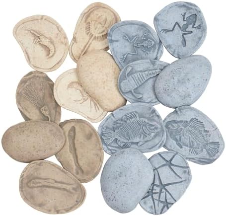 Kaplan Early Learning Company Magnetic Matching Aquatic Life Fossil Stones - Set of 8 - Image 2