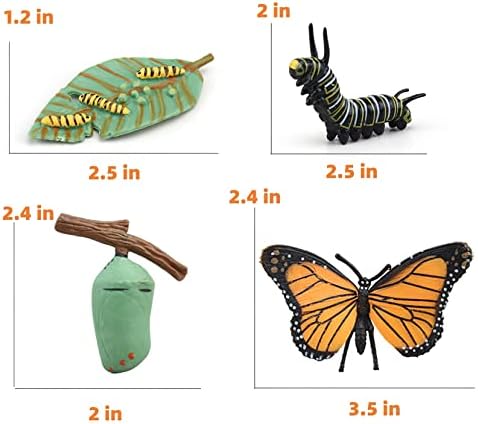 Montessori Life Cycle Learning & Education Toys, Plastic Insect Ladybug Monarch Butterfly Tadpole to Frog Kit, Preschool Learning Activities - Image 7