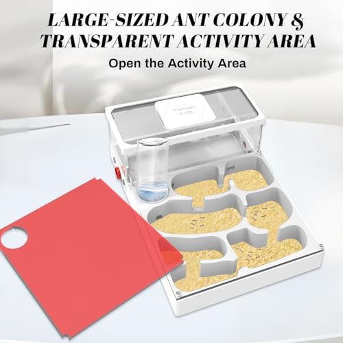 Transparent Ant Habitat – 3D Printed Mini Farm Acrylic with Expansion Ports Water Tower & Sand Nest Indoor Ant Colony Starter Kit for Beginners & Advanced Keepers (No Ants Included) - Image 5