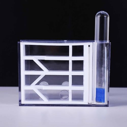 Baoblaze ANT Farm Habitat Toys Acrylic Workshop DIY Supplies House for Children's Day Gift Science Observation Decor Tabletop - Image 2
