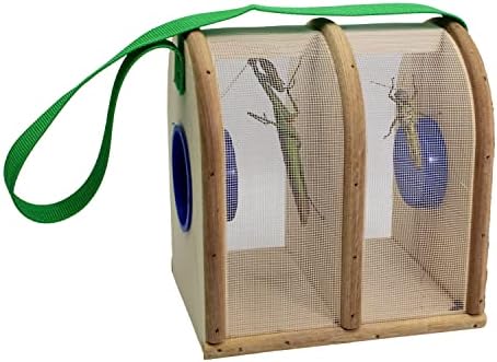 Wooden Bug Box - Dual Chamber Insect Habitat - Image 6