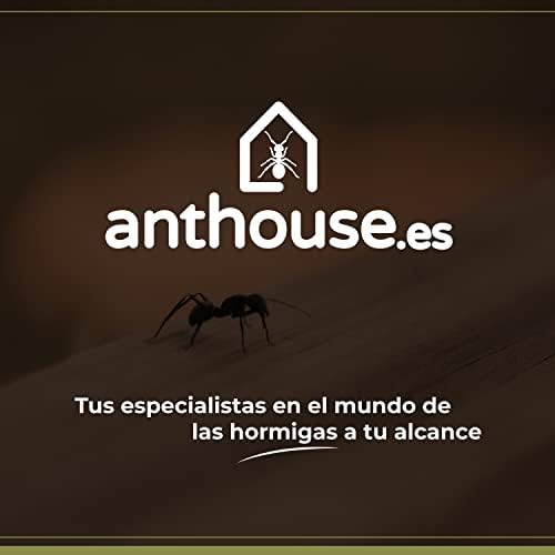 Anthouse - Basic Natural Sand Ant Farm - 3D Ant Terrarium - Acrylic Sandwich-Type - Foraging Box with Lid Included - Red Color - Image 7
