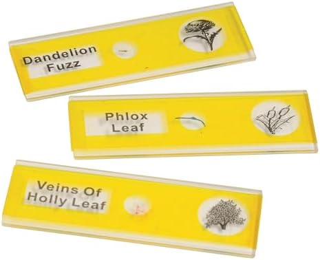 Prepared Microscope Slides for Kids – 12 Plastic Plant Specimens with Labels & Images – Safe, Durable Biology Science Kit for Students Ages 8+ - Image 4