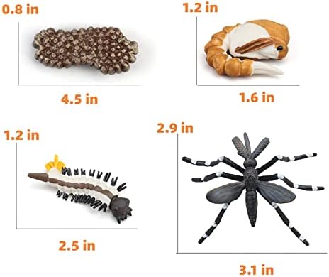 Montessori Life Cycle Animal Figures with Flash Cards, Realistic Animal Figurines Toy, Educational Matching Game for 3+ Year Old Kids (Mosquito) - Image 3