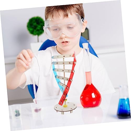 Gene DNA Double Helix Model Wood Plastic Science Teaching Aid - Image 6