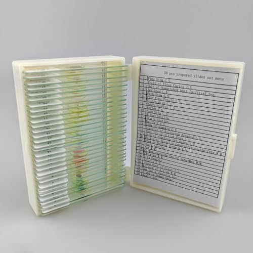 30 Pcs Microscope Slides Prepared Biology Specimen Lab Sample with Insects Plants Science Learning Home School by Unknown