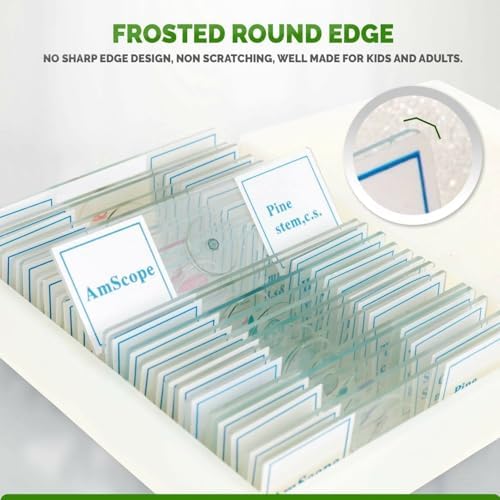 AmScope PS25P Prepared Microscope Slides, Plastic Case, 25pc - Image 4