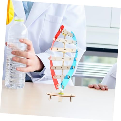 DNA Modeling Kit Double Helix Science Toy for Kids Students - Image 5