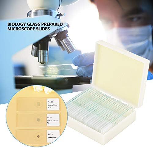 Prepared Microscope Slides Set, 25 Piece Glass Specimen Collection with Labeled Plant Animal Cell Samples for Biology Labs Students Standard 75 x 25 mm Boxed Set - Image 3