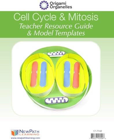 NewPath Cell Cycle & Mitosis 3-D Paper Model Making Kit - Individual Student Edition (24-7742) - Image 2