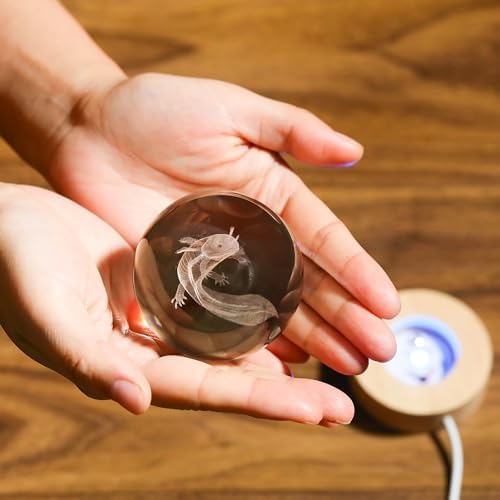 3D Axolotl Gifts for Women Crystals Ball 60mm- Axolotl Figurines Decor Glass Animals Figurine Animal Stuff for Room Birthday for Best Friend Lovers Keepsake Paperweight - Image 4