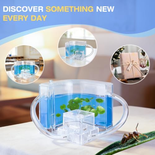Ant Nest, Ant Habitat Kit - Image 7