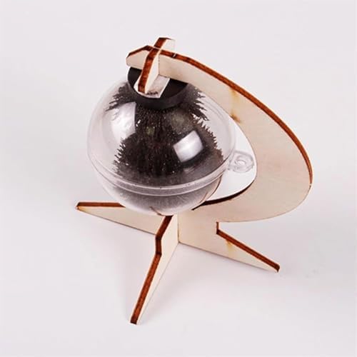 Magnetic Field Detection Experiment Kit, DIY Observation Sphere, Magnet & Ferromagnetic Substance Attraction Physics Lab Tools - Image 5