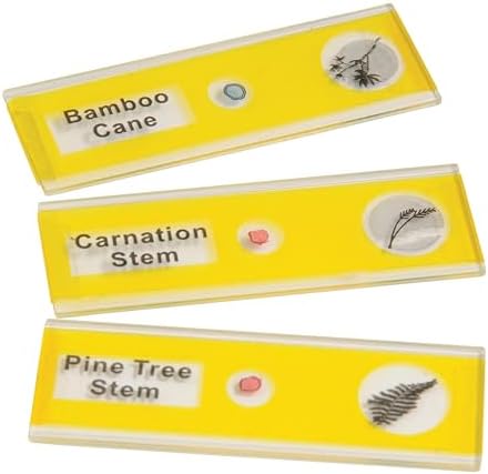 Prepared Microscope Slides for Kids – 12 Plastic Plant Specimens with Labels & Images – Safe, Durable Biology Science Kit for Students Ages 8+ - Image 6