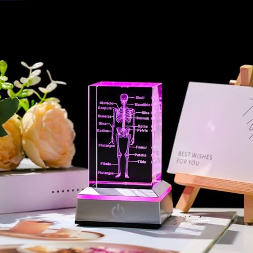 3D Crystal Human Skeleton Anatomy Model Medical Decor Gifts for Doctor, Laser Etched Science Biology Figurine Paperweight Psychology Graduation Gifts for Medical Students with LED Base - Image 3