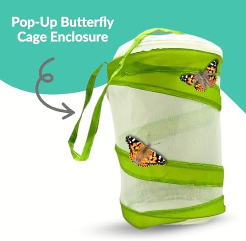 5 Live Painted Lady Caterpillars to Butterflies Kit, Mesh Cage Included - Image 5