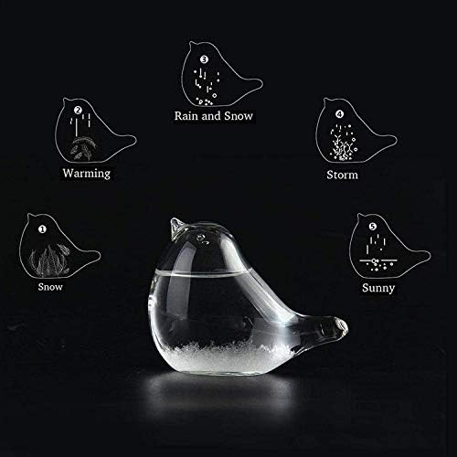 Hovico Storm Weather Forecaster, Water Drop Weather Predictor, Drop-Shaped Glass Barometer, Home and Office Decorative Glass Bottles (A) - Image 3