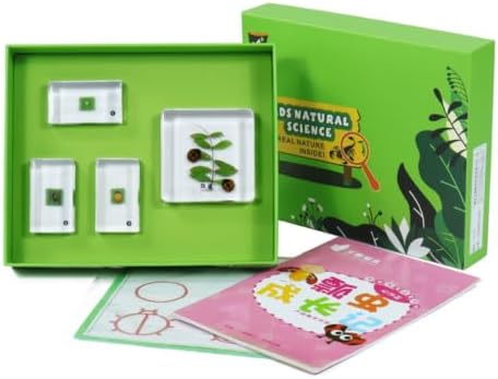 kowaku Children Learning Biology Kit with Resin Sample Blocks Tray Box Cards and Study Sheets Organized Display Suitable for Classroom Homeschool Self, Array, Ladybug Growth Story by kowaku