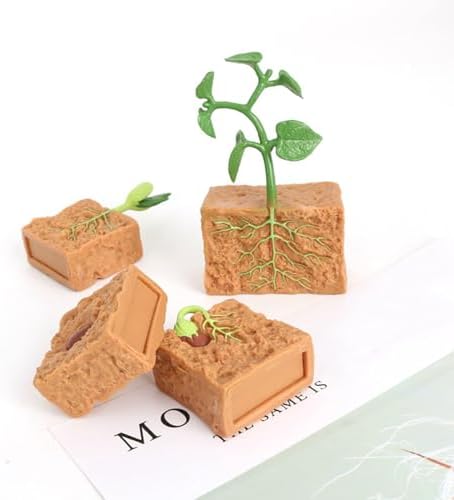 Life Cycle of Green Bean Plant Lifelike Life Cycle Plant Figures for Children - Image 7