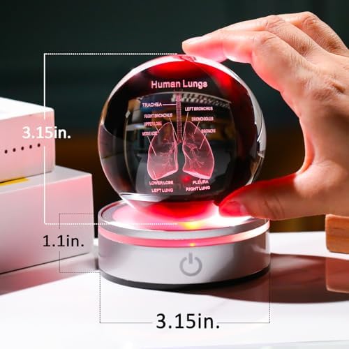 3D Human Lung Model Crystal Ball Doctor Gifts for Women Men, Laser Etched Glass Anatomical Lung Figurine Science Biology Surgeon Decor Graduation Gifts for Medical Student with LED Base - Image 4