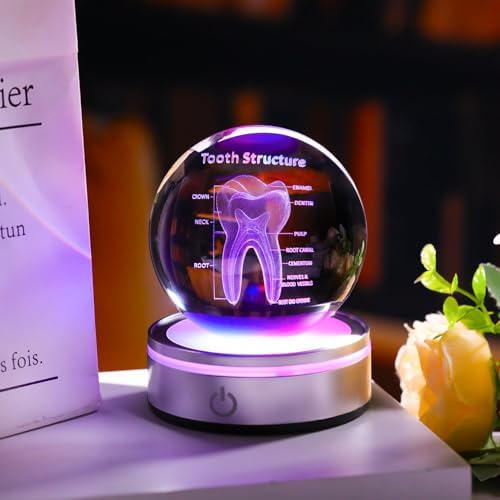 Tooth Model 3D Crystal Ball Dental Gifts for Women Men, Dentist Hygienist Present Office Decor with Led Base, Laser Etched Figurine Tooth Gift for Dental Student on Graduation Christmas - Image 3