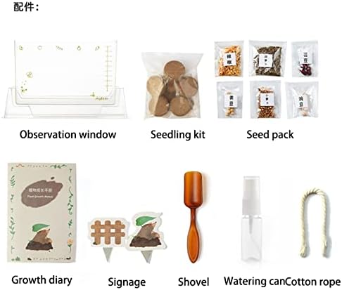 Children's Science Experiment Window Plant Growing Kit, Vegetable Plant Growth Observation Box Toy Science Kit for Homeschool & Classrooms, Ages 6+ - Image 2