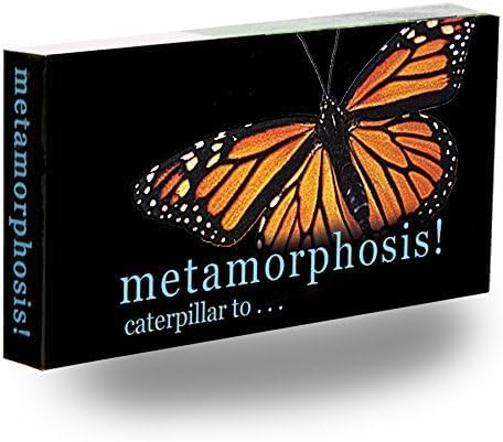 Butterfly Flipbook for Kids Ages 6-12, Animation Flip Book for Children by Fliptomania