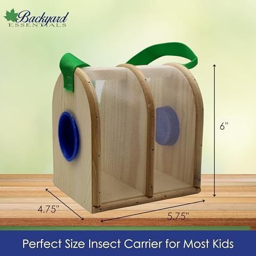 Wooden Bug Box - Dual Chamber Insect Habitat - Image 5