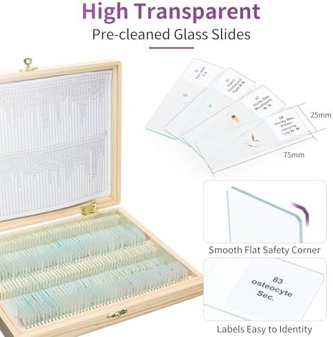 100PCS Microscope Slides with Specimens with Wooden Box, LVQ092 - Image 2