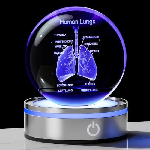 3D Human Lung Model Crystal Ball Doctor Gifts for Women Men, Laser Etched Glass Anatomical Lung Figurine Science Biology Surgeon Decor Graduation Gifts for Medical Student with LED Base by LAFT