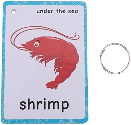 20 pcs Sea Animals Flash Cards for Toddlers | Marine Animals Learning Cards & Montessori Pocket Cards Perfect for Pre-K Wall Stickers and Insect Themed Party, Teacher/Autism Therapists Tools - Image 4