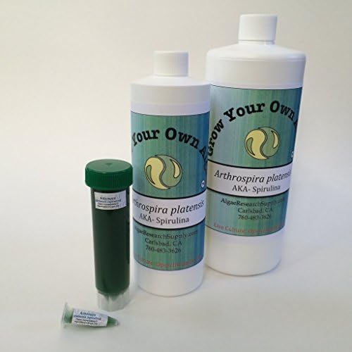 Algae Research Supply Algae Culture Thalassiosira Pseudonana, Perfect for School Science Fairs/Projects, Experiments & Classrooms (500mL) by Algae+Research+and+Supply