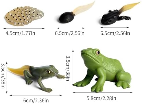 Life Cycleinsects Toys - 6Pcs Educational Figurine Set Ladyybuges - Image 4
