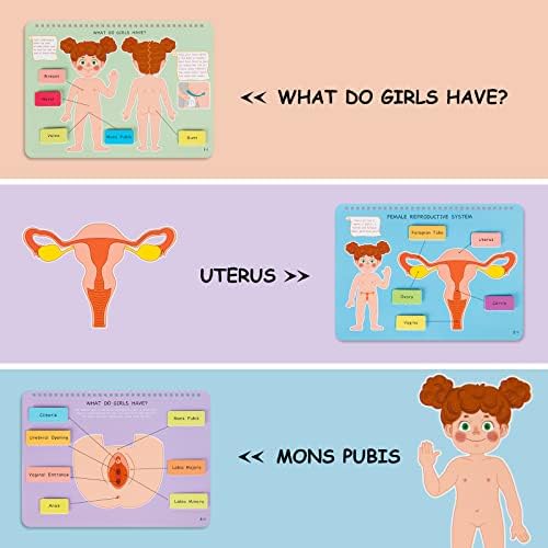 Freebear Montessori Busy Book for Kids, Human Body Anatomy Book for Toddlers, Preshool Kindergarten Learning Activities, Autism Sensory Toys, Gifts for Girls and Boys 4-7 Years- Human Body Procreation - Image 3