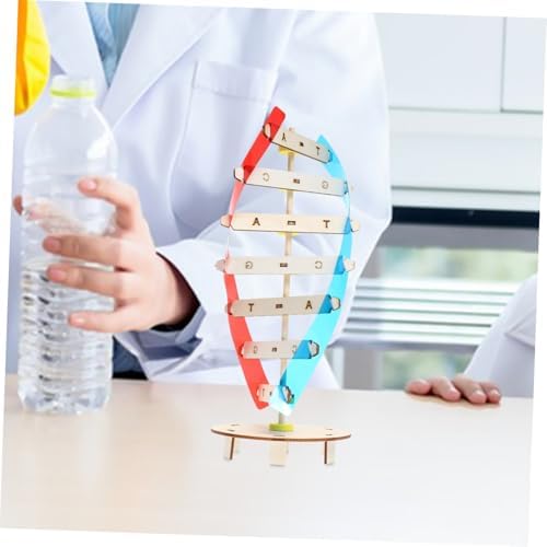DIY DNA Model Science Toy for Kids Biology Learning - Image 2