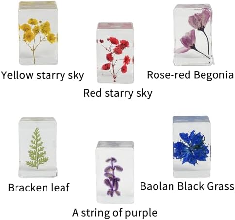 13pcs Ucubwfu Plant Specimen, Drip Resin Dried Flower Specimen, Real Flower Specimen for Microscope, Science Education Products for Kids - Image 4