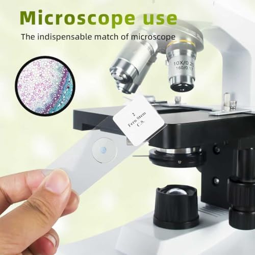 Microscope Slides with Specimens - 60 Prepared Slides for Kids, Teens & Adults, Biology & Microbiology Learning Kit (120 Microscope Slides with Specimens) - Image 6