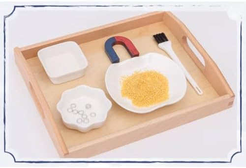 Montessori Magnet Separation Exploration Work Tray Set - Image 4