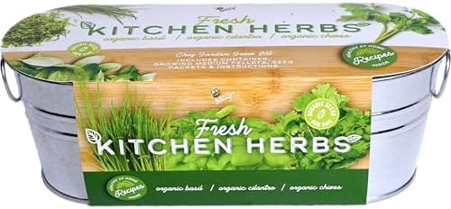 Buzzy Seeds Kitchen Herb Grow Kit, Metal Planter, Basil Cilantro Chives by BUZZY