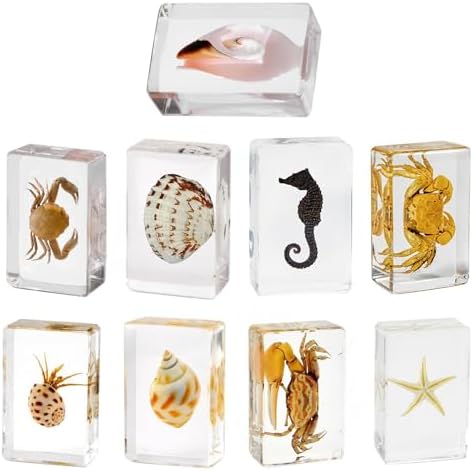 9-Pack Ocean Animal Snail Shell Crab Specimens in Resin Preserved by Aolowewin