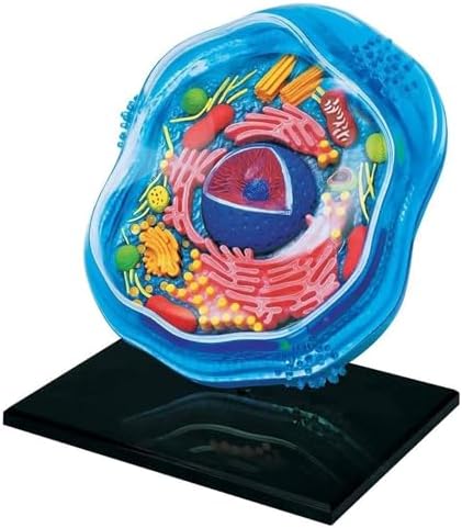 Biology Animal and Plant Cell Models, Assembly and Medical Lessons Cell Model Teaching(Animal Cells) by Unknown