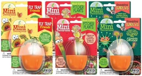 Toys By Nature Mini Terrarium Carnivorous Plant Bundle, 100% USA Made Complete Starter Kit Includes 2 Each of Flytraps, Pitcher Plants, Sundews, Easy to Grow Planting Seeds Just Add Water by ToysByNature