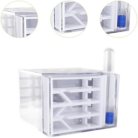 Baoblaze ANT Farm Habitat Toys Acrylic Workshop DIY Supplies House for Children's Day Gift Science Observation Decor Tabletop - Image 4