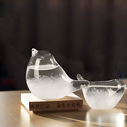 Hovico Storm Weather Forecaster, Water Drop Weather Predictor, Drop-Shaped Glass Barometer, Home and Office Decorative Glass Bottles (A) - Image 5