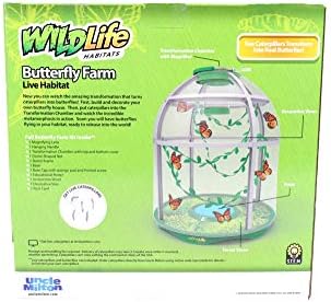 Uncle Milton Butterfly Farm Live Habitat - Observe Caterpillars Transform Into Butterflies, STEM Toy, Great Gifts for Boys & Girls Ages 6+ - Image 4