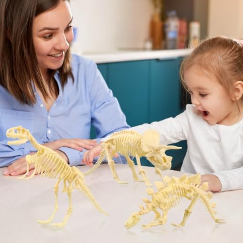 NUOLUX 3Pcs 4D Dinosaur Fossil Skeleton Toys DIY for Kids Fossil Skeleton Figure - Image 7