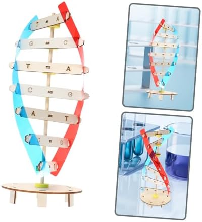 DIY DNA Double Helix Model Science Kit for Kids Students - Image 4