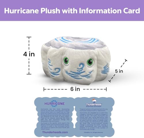 Thunderheads Hurricane Plush, Weather-Inspired Educational Soft Collectible with Fact Card, Earth-Based plushie, STEM Learning Tool for Curious Minds, Eco-Friendly Science Gift for Meteorology Fans - Image 2