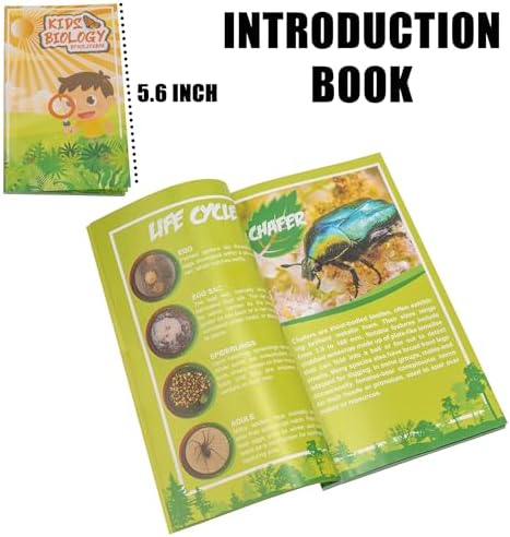 Insect Specimen Set, Bugs Collection Scientific Education Gift for Kids Aged 3-8-12 (Cicada, Wasp, Spider, Scorpion, Locust, Chafer) - Image 6